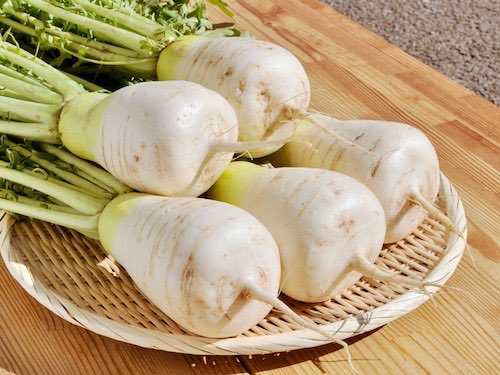 信州坂城名産ねずみ大根