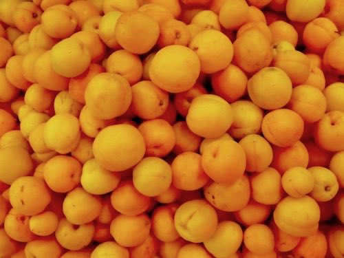 信州特産採れたて杏